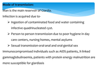 Mode of transmission:
Man is the main reservoir of Giardia.
Infection is acquired due to-
 Ingestion of contaminated food and water containing
infective quadrinucleated cyst.
 Person to person transmission due to poor hygiene in day
care centers, nursing homes, mental asylums
 Sexual transmission-oral-anal and oral-genital sex
Immunocompromised individuals such as AIDS patients, X-linked
gammaglobulinaemia, patients with protein energy malnutrition are
more susceptible for giardiasis
 