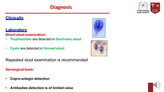 Diagnosis
Clinically
Laboratory
Direct stool examination:
• Trophozoites are detected in diarrhoeic stool
• Cysts are detected in formed stool
Repeated stool examination is recommended
Serological tests:
• Copro-antegin detection
• Antibodies detection is of limited value
 