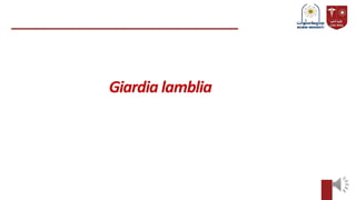 Giardia lamblia
 