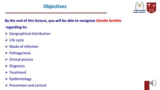 By the end of this lecture, you will be able to recognize Giardia lamblia
regarding its:
 Geographical distribution
 Life cycle
 Mode of infection
 Pathogenesis
 Clinical picture
 Diagnosis
 Treatment
 Epidemiology
 Prevention and control
Objectives
 