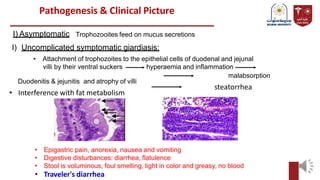 Pathogenesis & Clinical Picture
Trophozooites feed on mucus secretions
• Epigastric pain, anorexia, nausea and vomiting
• Digestive disturbances: diarrhea, flatulence
• Stool is voluminous, foul smelling, light in color and greasy, no blood
• Traveler's diarrhea
I) Uncomplicated symptomatic giardiasis:
• Attachment of trophozoites to the epithelial cells of duodenal and jejunal
villi by their ventral suckers hyperaemia and inflammation
I) Asymptomatic
Duodenitis & jejunitis and atrophy of villi
• Interference with fat metabolism
malabsorption
steatorrhea
 