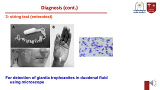 Diagnosis (cont.)
3- string test (enterotest)
For detection of giardia trophozoites in duodenal fluid
using microscope
 