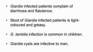 • Giardia infected patients complain of
diarrhoea and flatulence.
• Stool of Giardia infected patients is light-
coloured and greasy.
• G. lamblia infection is common in children.
• Giardia cysts are infective to man.
 