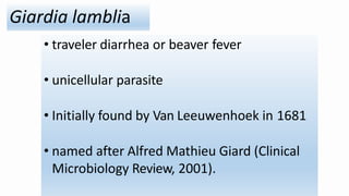 Giardia lamblia
• traveler diarrhea or beaver fever
• unicellular parasite
• Initially found by Van Leeuwenhoek in 1681
• named after Alfred Mathieu Giard (Clinical
Microbiology Review, 2001).
 
