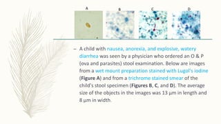 PARASITEOLOGY :Giardia lamblia | PPTX