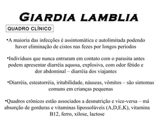 Giardia lambliaGiardia lamblia
QUADRO CLÍNICO
•A maioria das infecções é assintomática e autolimitada podendo
haver eliminação de cistos nas fezes por longos períodos
•Diarréia, esteatorréia, iritabilidade, náuseas, vômitos – são sintomas
comuns em crianças pequenas
•Indivíduos que nunca entraram em contato com o parasita antes
podem apresentar diarréia aquosa, explosiva, com odor fétido e
dor abdominal – diarréia dos viajantes
•Quadros crônicos estão associados a desnutrição e vice-versa – má
absorção de gorduras e vitaminas lipossolúveis (A,D,E,K), vitamina
B12, ferro, xilose, lactose
 