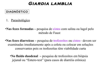 Giardia lambliaGiardia lamblia
DIAGNÓSTICO
•Nas fezes formadas – pesquisa de cistos com salina ou lugol pelo
método de Faust
•No fluido duodenal – pesquisa de trofozoítos em biópsia
jejunal ou “Entero-test” (para casos de diarréia crônica)
•Nas fezes diarreicas – pesquisa de trofozoítos ou cistos– devem ser
examinadas imediatamente após a coleta ou colocar em soluções
conservantes pois os trofozoítas têm viabilidade curta
1. Parasitológico
 