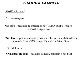 Giardia lambliaGiardia lamblia
DIAGNÓSTICO
2. Imunológico
•No soro – pesquisa de anticorpos por ELISA ou IFI – pouco
sensível e específico
•Nas fezes – pesquisa de antígenos por ELISA – sensibilidade em
torno de 85% a 95% e especificidade de 90 a 100%
3. Molecular
• Amostras de água – pesquisa de DNA parasitário por PCR
 