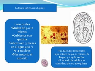 Giardiasis | PPTX