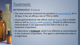 Treatment:
METRONIDAZOLE → tinidazole
› The most common treatment for giardiasis is metronidazole for 5-
10 days. It has an efficacy rate of 75% to 100%.
› causes gastrointestinal side effects such as nausea and a metallic
taste as well as dizziness and headache. Despite its effectiveness,
metronidazole is not approved by the FDA in the U.S. for
treatment of giardiasis.
› An alternative is tinidazole, which is as effective as metronidazole
in the treatment of giardiasis. This agent is administered orally as
a single dose.
 