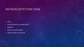 ANTIGEN DETECTION STAIN
• ELISA
• Direct fluorescent antibody [DFA]
• Rapid ICT
• Detect cyst wall antigens
• Highly specific and sensitive
 