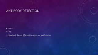 ANTIBODY DETECTION
• ELISA
• IFA
• Drawback -Cannot differentiate recent and past infection
 