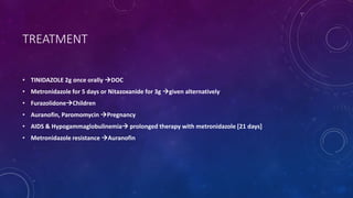 TREATMENT
• TINIDAZOLE 2g once orally DOC
• Metronidazole for 5 days or Nitazoxanide for 3g given alternatively
• FurazolidoneChildren
• Auranofin, Paromomycin Pregnancy
• AIDS & Hypogammaglobulinemia prolonged therapy with metronidazole [21 days]
• Metronidazole resistance Auranofin
 
