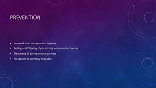 PREVENTION
• Impoved food and personal hygiene
• Boiling and filtering of potentially contaminated water
• Treatment of asymptomatic carriers
• No vaccine is currently available
 