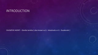 INTRODUCTION
CAUSATIVE AGENT – Giardia lamblia [ also known as G . Intestinalis or G . Duodenalis ]
 