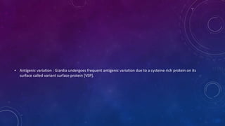 • Antigenic variation : Giardia undergoes frequent antigenic variation due to a cysteine rich protein on its
surface called variant surface protein [VSP].
 