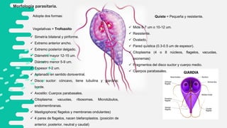 Giardiasis, Jesus Sadami Rivera Ramos, 401.pdf