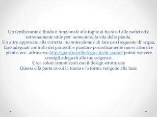 Un fertilizzante è fluido è funzionale alle foglie al fusto ed alle radici ed è
estremamente utile per aumentare la vita delle piante.
Un altro approccio alla corretta manutenzione è di fare uso frequente di acqua,
fare adeguati controlli dei parassiti e piantare periodicamente nuovi arbusti e
piante, ecc.. attraverso http://giardinieribologna.it/chi-siamo/ potrai ricevere
consigli adeguati alle tue esigenze.
Crea colori armonizzati con il design strutturale
Questa è la parte in cui la trama e la forma vengono alla luce.
 