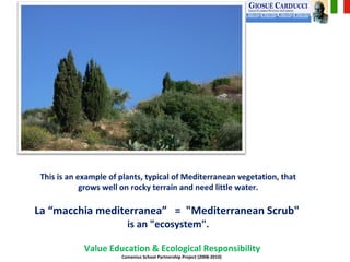 This is an example of plants, typical of Mediterranean vegetation, that grows well on rocky terrain and need little water. La “macchia mediterranea”  =  &quot;Mediterranean Scrub&quot;  is an &quot;ecosystem&quot;. ,[object Object],[object Object]