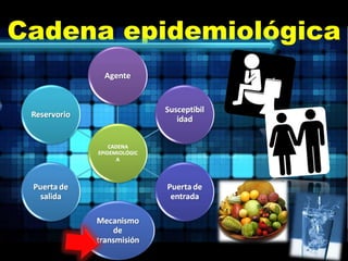 Cadena epidemiológica 