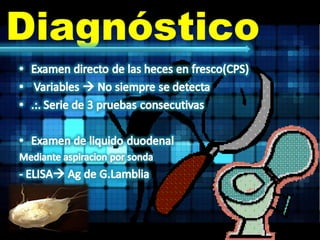 Diagnóstico 