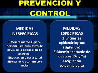 PREVENCIÓN Y CONTROL MEDIDAS INESPECIFICAS Mejoramiento higiene  personal, del suminstro de agua, de la disposicion de excretas,  Educacion para la salud Desarrollo economico y social MEDIDAS ESPECIFICAS Encuestas epidemiologicas (vigilancia) Manejo adecuado de los casos( Dx y Tx) Vigilancia epidemiologica 