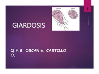 GIARDOSIS
Q.F.B. OSCAR E. CASTILLO
O.
1
 