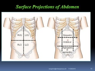 11/29/2010 13rangsima@chiangmai.ac.th
 