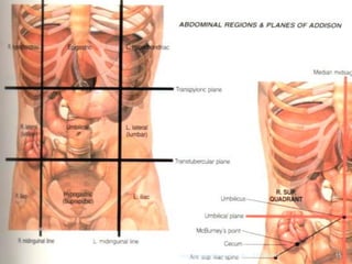 11/29/2010 15rangsima@chiangmai.ac.th
 