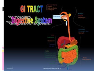 11/29/2010 3rangsima@chiangmai.ac.th
 