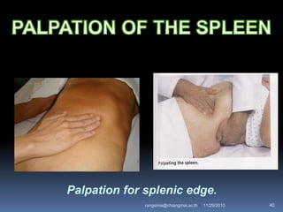 Palpation for splenic edge.
11/29/2010 40rangsima@chiangmai.ac.th
 