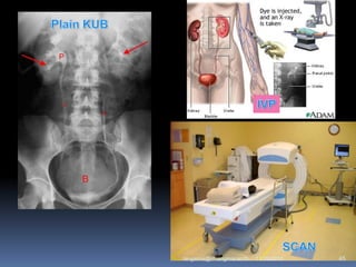 11/29/2010 45rangsima@chiangmai.ac.th
 