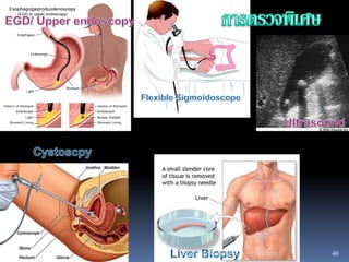 11/29/2010 46rangsima@chiangmai.ac.th
 
