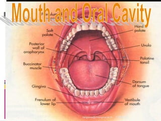 11/29/2010 5rangsima@chiangmai.ac.th
 
