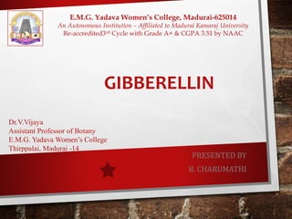 GIBBERELLIN
PRESENTED BY
B. CHARUMATHI
Dr.V.Vijaya
Assistant Professor of Botany
E.M.G. Yadava Women’s College
Thirppalai, Madurai -14
E.M.G. Yadava Women’s College, Madurai-625014
An Autonomous Institution – Affiliated to Madurai Kamaraj University
Re-accredited3rd Cycle with Grade A+ & CGPA 3.51 by NAAC
 