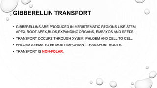 GIBBERELLIN TRANSPORT
• GIBBERELLINS ARE PRODUCED IN MERISTEMATIC REGIONS LIKE STEM
APEX, ROOT APEX,BUDS,EXPANDING ORGANS, EMBRYOS AND SEEDS.
• TRANSPORT OCCURS THROUGH XYLEM, PHLOEM AND CELL TO CELL.
• PHLOEM SEEMS TO BE MOST IMPORTANT TRANSPORT ROUTE.
• TRANSPORT IS NON-POLAR.
 