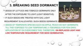 3. BREAKING SEED DORMANCY
• SEEDS OF LETTUCE AND TOBACCO GERMINATE ONLY
AFTER THE EXPOSURE TO LIGHT (LIGHT SENSITIVE)
• IF SUCH SEEDS ARE TREATED WITH GA3, LIGHT
REQUIREMENT IS ALLEVIATED. SUCH SEEDS GERMINATE EVEN IN DARK.
• SEEDS OF TEMPERATE SPECIES SUCH AS APPLE, PEACH DO NOT GERMINATE
TILL THEY EXPOSED TO LOW TEMPERATURE (1-7DEGREES) FOR FEW DAYS.
APPLICATION OF GA OVERCOMES THIS. THEREFORE, GA REPLACES LIGHT AND
LOW TEMPERATURE REQUIREMENT FOR SEED GERMINATION.
 