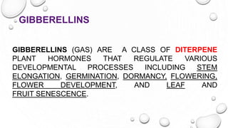 GIBBERELLINS
GIBBERELLINS (GAS) ARE A CLASS OF DITERPENE
PLANT HORMONES THAT REGULATE VARIOUS
DEVELOPMENTAL PROCESSES INCLUDING STEM
ELONGATION, GERMINATION, DORMANCY, FLOWERING,
FLOWER DEVELOPMENT, AND LEAF AND
FRUIT SENESCENCE.
 