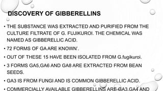 DISCOVERY OF GIBBERELLINS
• THE SUBSTANCE WAS EXTRACTED AND PURIFIED FROM THE
CULTURE FILTRATE OF G. FUJIKUROI. THE CHEMICAL WAS
NAMED AS GIBBERELLIC ACID.
• 72 FORMS OF GA ARE KNOWN’.
• OUT OF THESE 15 HAVE BEEN ISOLATED FROM G.fugikuroi.
• 3 FORMS GA5,GA6 AND GA8 ARE EXTRACTED FROM BEAN
SEEDS.
• GA3 IS FROM FUNGI AND IS COMMON GIBBERELLIC ACID.
• COMMERCIALLY AVAILABLE GIBBERELLINS ARE GA3,GA4 AND
 