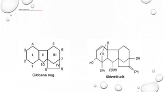 CHEMISTRY OF GIBBERELLINS
TETRACYCLIC DITERPENE ACIDS WHICH HAVE COMMON STRUCTURE CALLED GIBBANE RING
 