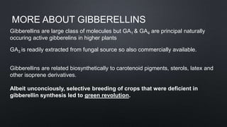 MORE ABOUT GIBBERELLINS
Gibberellins are large class of molecules but GA1 & GA4 are principal naturally
occuring active gibberelins in higher plants
GA3 is readily extracted from fungal source so also commercially available.
Gibberellins are related biosynthetically to carotenoid pigments, sterols, latex and
other isoprene derivatives.
Albeit unconciously, selective breeding of crops that were deficient in
gibberellin synthesis led to green revolution.
 