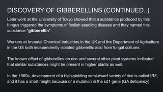 DISCOVERY OF GIBBERELLINS (CONTINUED..)
Later work at the University of Tokyo showed that a substance produced by this
fungus triggered the symptoms of foolish seedling disease and they named this
substance "gibberellin".
Workers at Imperial Chemical Industries in the UK and the Department of Agriculture
in the US both independently isolated gibberellic acid from fungal cultures.
The known effect of gibberellins on rice and several other plant systems indicated
that similar substances might be present in higher plants as well.
In the 1960s, development of a high-yielding semi-dwarf variety of rice is called IR8,
and it has a short height because of a mutation in the sd1 gene (GA deficiency)
 