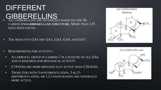 DIFFERENT
GIBBERELLINS• ALL GIBBERELLINS ARE DITERPENES BASED ON THE 20-
CARBON ENT-GIBBERELLANE STRUCTURE. MORE THAN 135
HAVE BEEN FOUND.
• THE BIOACTIVE GAS ARE GA1, GA3, GA4, AND GA7.
• REQUIREMENTS FOR ACTIVITY:-
• A CARBOXYL GROUP AT CARBON-7 IS A FEATURE OF ALL GAS
AND IS REQUIRED FOR BIOLOGICAL ACTIVITY.
• C19-GAS ARE MORE BIOLOGICALLY ACTIVE THAN C20-GAS.
• THOSE GAS WITH 3-Β-HYDROXYLATION, 3-Β,13-
DIHYDROXYLATION, OR 1,2-UNSATURATION ARE GENERALLY
MORE ACTIVE.
 