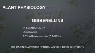 PLANT PHYSIOLOGY
• PRESENTATION BY:-
• AHMED AQUIB
• B.TECH BIOTECHNOLOGY (C.B.S&H.)
GIBBERELLINS
DR. RAJENDRA PRASAD CENTRAL AGRICULTURAL UNIVERSITY
 