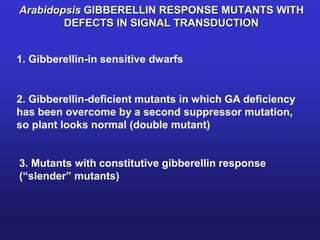 Arabidopsis GIBBERELLIN RESPONSE MUTANTS WITH 
DEFECTS IN SIGNAL TRANSDUCTION 
1. Gibberellin-in sensitive dwarfs 
2. Gibberellin-deficient mutants in which GA deficiency 
has been overcome by a second suppressor mutation, 
so plant looks normal (double mutant) 
3. Mutants with constitutive gibberellin response 
(“slender” mutants) 
 