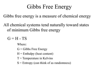 Gibbs Free Energy
Gibbs free energy is a measure of chemical energy
All chemical systems tend naturally toward states
of minimum Gibbs free energy
G = H - TS
Where:
G = Gibbs Free Energy
H = Enthalpy (heat content)
T = Temperature in Kelvins
S = Entropy (can think of as randomness)
 