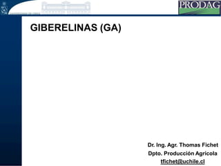 GIBERELINAS (GA)
Dr. Ing. Agr. Thomas Fichet
Dpto. Producción Agrícola
tfichet@uchile.cl
 
