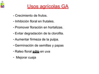 Usos agrícolas GA
-
-
-
-
-
-
-
-
Crecimiento de frutos.
Inhibición floral en frutales.
Promover floración en hortalizas.
Evitar degradación de la clorofila.
Aumentar firmeza de la pulpa.
Germinación de semillas y papas
Raleo floral sólo en uva
Mejorar cuaja
 