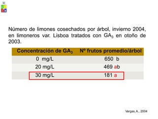 Número de limones cosechados por árbol, invierno 2004,
en limoneros
2003.
var. Lisboa tratados con GA3 en otoño de
Vargas,A., 2004
Concentración de GA3 Nº frutos promedio/árbol
0 mg/L 650 b
20 mg/L 469 ab
30 mg/L 181 a
 