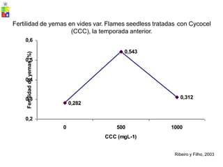 Fertilidad de yemas en vides var. Flames seedless tratadas con Cycocel
(CCC), la temporada anterior.
0,6
0,5
0,4
0,3
0,2
0 500
CCC (mgL-1)
1000
Ribeiro y Filho, 2003
Fertilidad
de
yemas
(%)
0,543
0,312
0,282
 